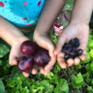 Meet your Posher, Max